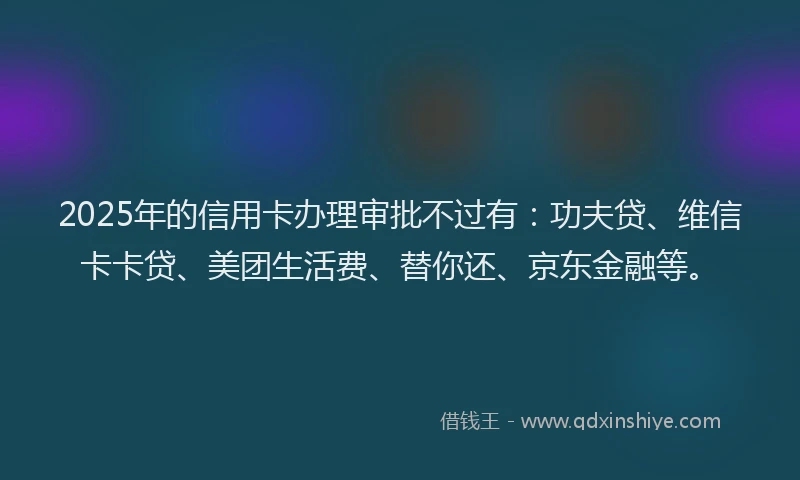 2025年的信用卡办理审批不过有：功夫贷、维信卡卡贷、美团生活费、替你还、京东金融等。