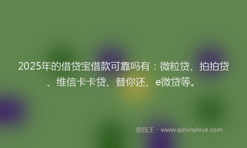2025年的借贷宝借款可靠吗有：微粒贷、拍拍贷、维信卡卡贷、替你还、e微贷等。