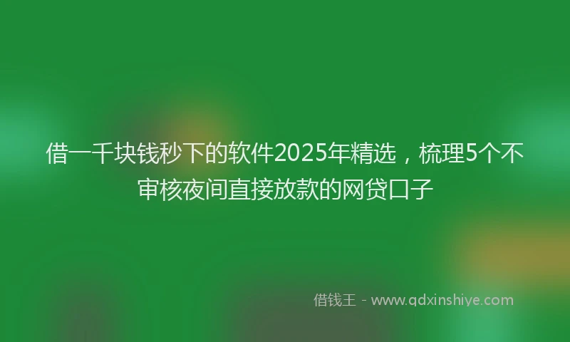 借一千块钱秒下的软件2025年精选，梳理5个不审核夜间直接放款的网贷口子