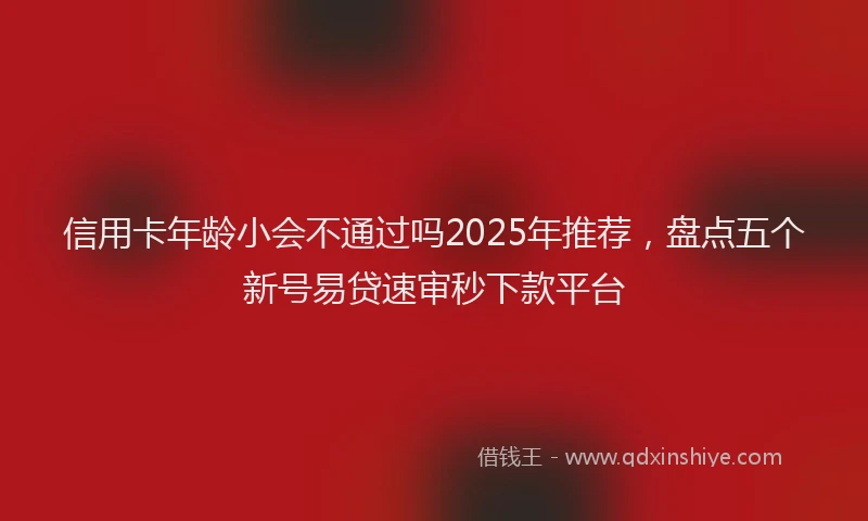 信用卡年龄小会不通过吗2025年推荐，盘点五个新号易贷速审秒下款平台