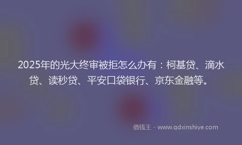 2025年的光大终审被拒怎么办有：柯基贷、滴水贷、读秒贷、平安口袋银行、京东金融等。