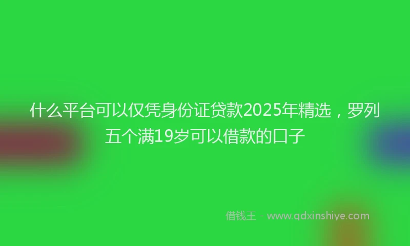 什么平台可以仅凭身份证贷款2025年精选，罗列五个满19岁可以借款的口子