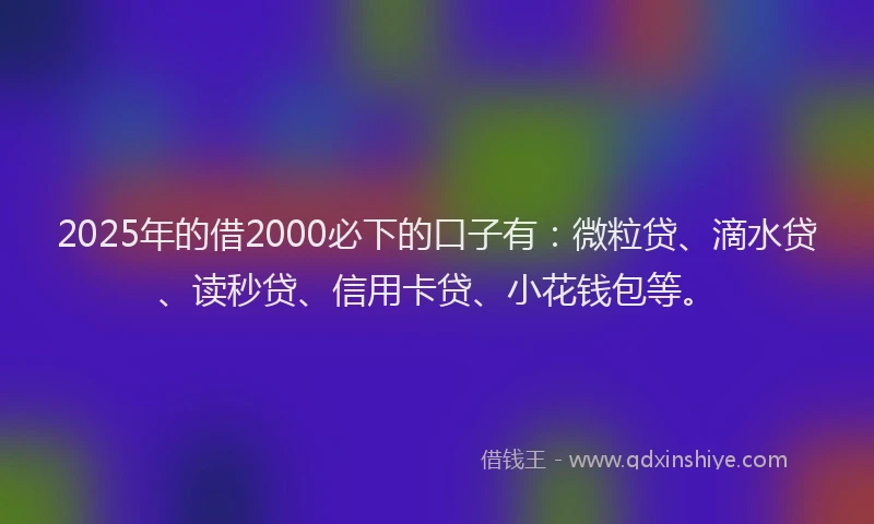 2025年的借2000必下的口子有：微粒贷、滴水贷、读秒贷、信用卡贷、小花钱包等。
