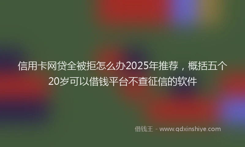 信用卡网贷全被拒怎么办2025年推荐，概括五个20岁可以借钱平台不查征信的软件