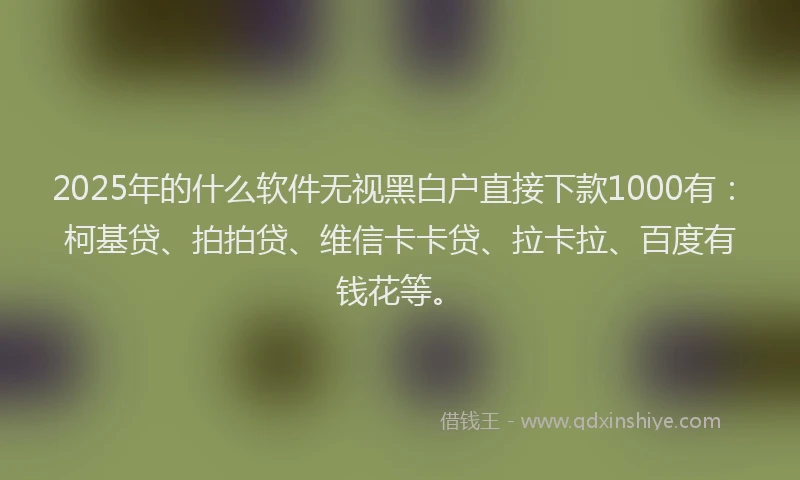 2025年的什么软件无视黑白户直接下款1000有：柯基贷、拍拍贷、维信卡卡贷、拉卡拉、百度有钱花等。