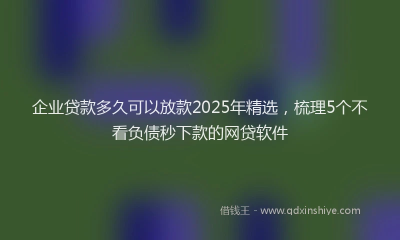 企业贷款多久可以放款2025年精选，梳理5个不看负债秒下款的网贷软件