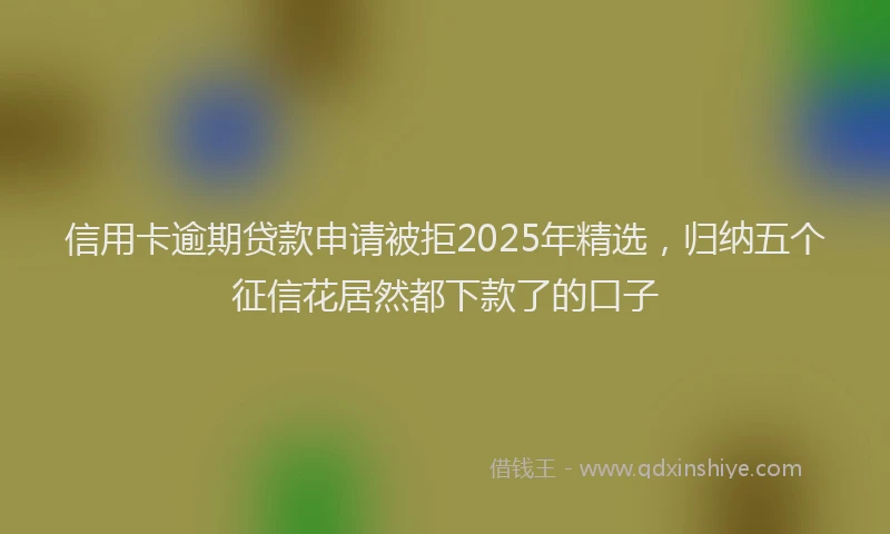信用卡逾期贷款申请被拒2025年精选，归纳五个征信花居然都下款了的口子