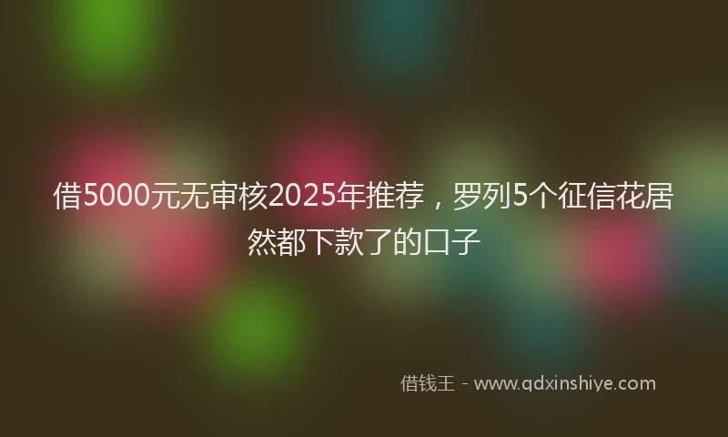 借5000元无审核2025年推荐，罗列5个征信花居然都下款了的口子