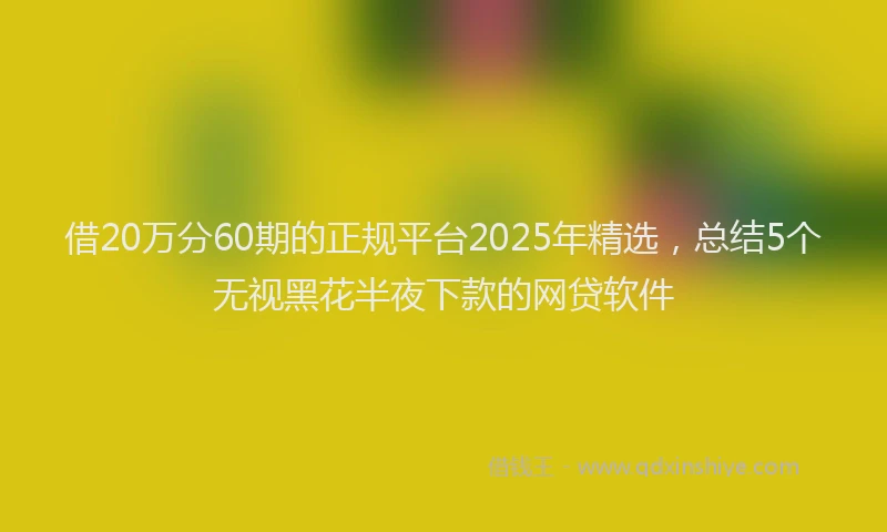 借20万分60期的正规平台2025年精选，总结5个无视黑花半夜下款的网贷软件