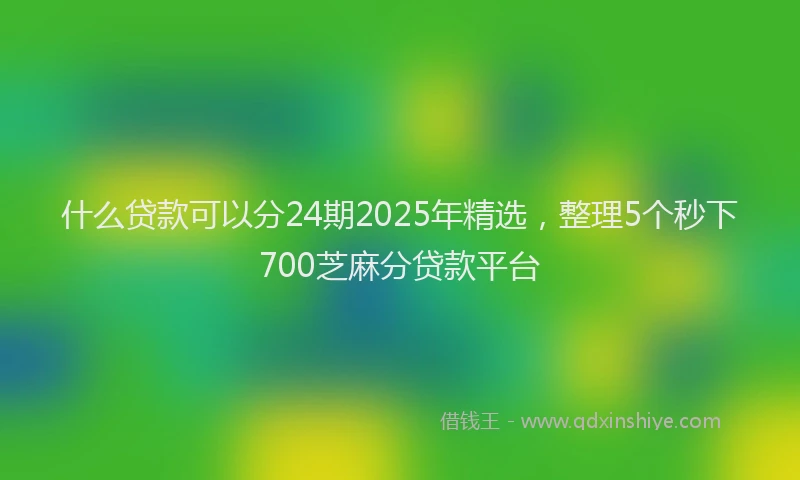 什么贷款可以分24期2025年精选，整理5个秒下700芝麻分贷款平台