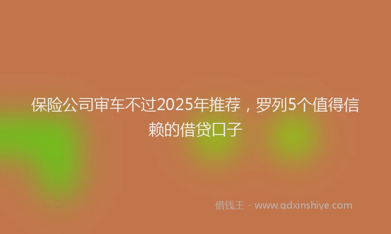 保险公司审车不过2025年推荐，罗列5个值得信赖的借贷口子