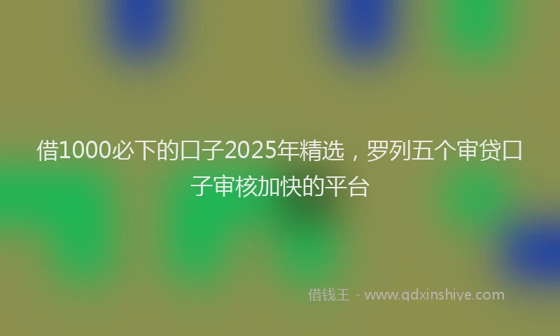 借1000必下的口子2025年精选，罗列五个审贷口子审核加快的平台