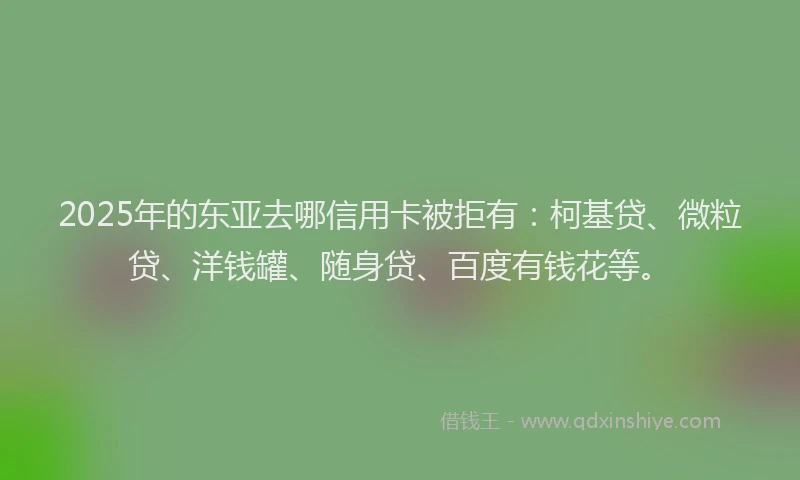 2025年的东亚去哪信用卡被拒有：柯基贷、微粒贷、洋钱罐、随身贷、百度有钱花等。