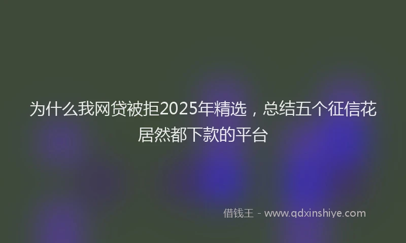 为什么我网贷被拒2025年精选，总结五个征信花居然都下款的平台