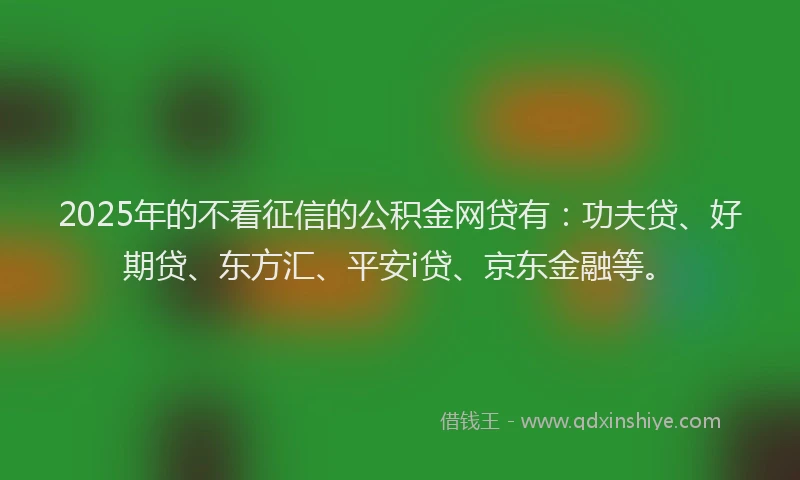 2025年的不看征信的公积金网贷有：功夫贷、好期贷、东方汇、平安i贷、京东金融等。