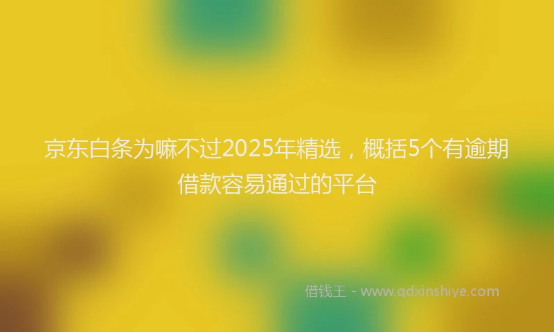 京东白条为嘛不过2025年精选，概括5个有逾期借款容易通过的平台