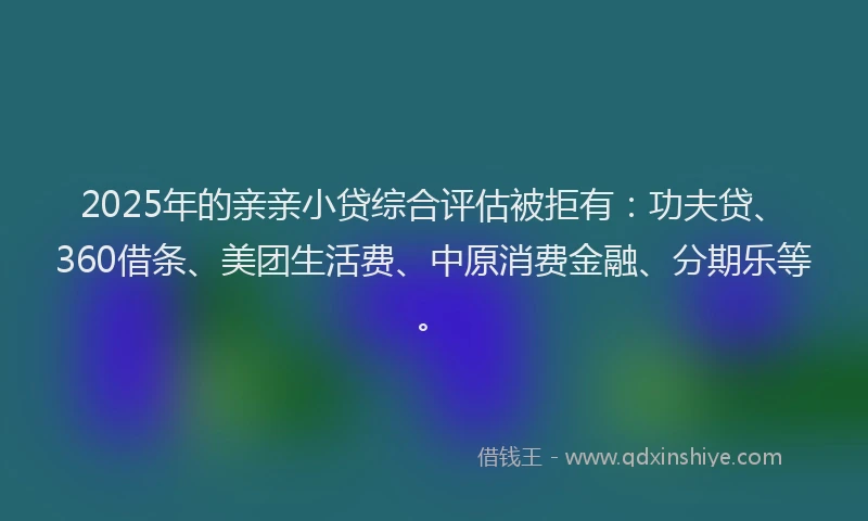 2025年的亲亲小贷综合评估被拒有：功夫贷、360借条、美团生活费、中原消费金融、分期乐等。