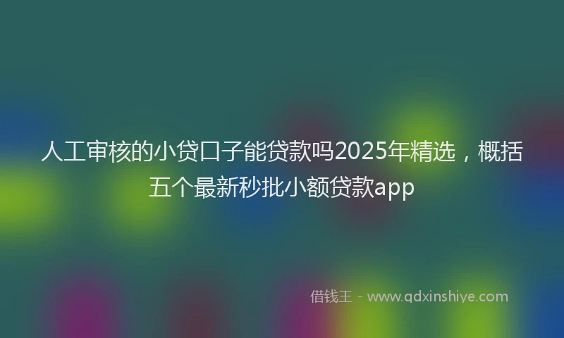 人工审核的小贷口子能贷款吗2025年精选，概括五个最新秒批小额贷款app
