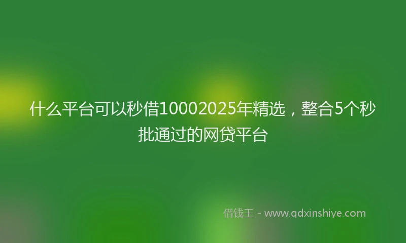 什么平台可以秒借10002025年精选，整合5个秒批通过的网贷平台