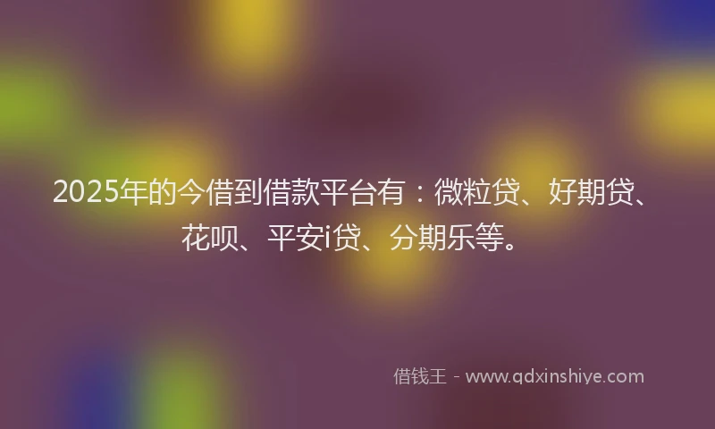 2025年的今借到借款平台有：微粒贷、好期贷、花呗、平安i贷、分期乐等。