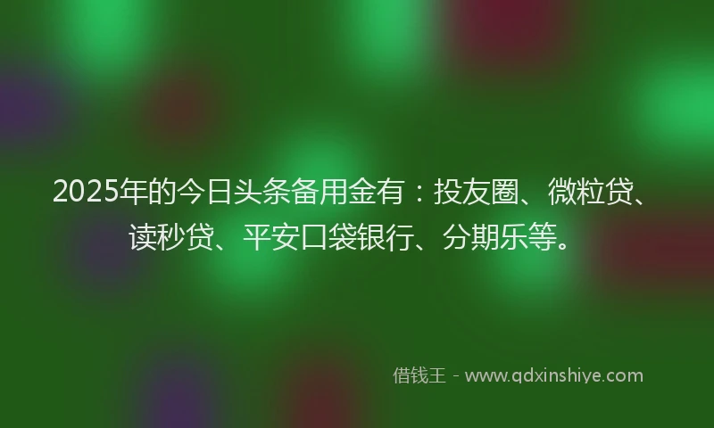 2025年的今日头条备用金有：投友圈、微粒贷、读秒贷、平安口袋银行、分期乐等。