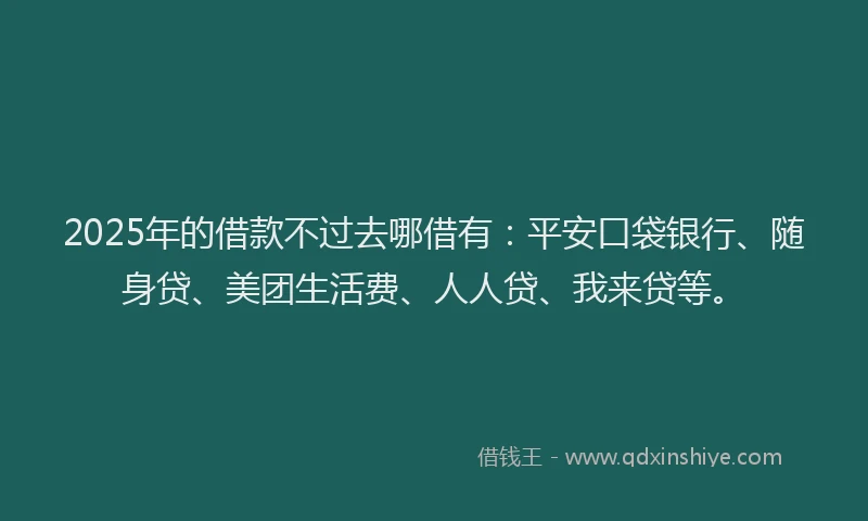 2025年的借款不过去哪借有：平安口袋银行、随身贷、美团生活费、人人贷、我来贷等。