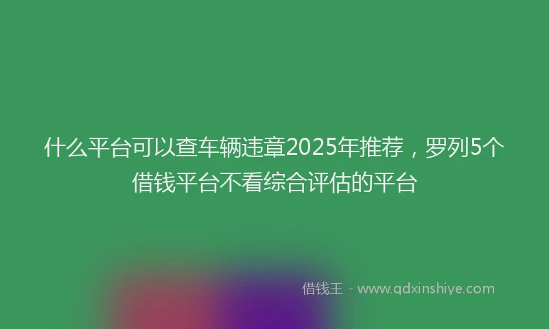 什么平台可以查车辆违章2025年推荐，罗列5个借钱平台不看综合评估的平台