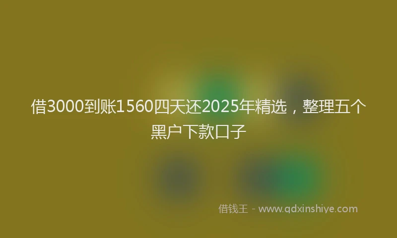 借3000到账1560四天还2025年精选，整理五个黑户下款口子