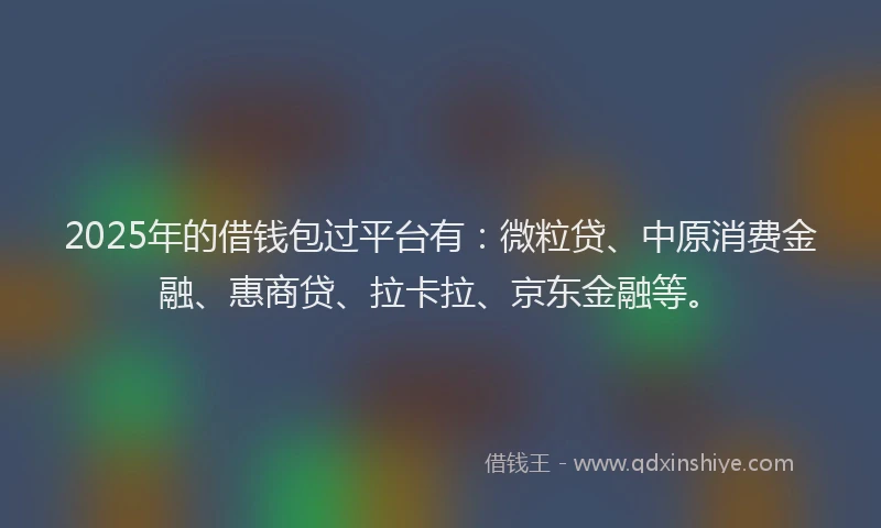 2025年的借钱包过平台有：微粒贷、中原消费金融、惠商贷、拉卡拉、京东金融等。