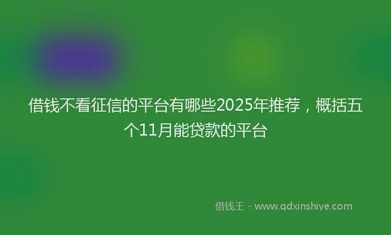 借钱不看征信的平台有哪些2025年推荐，概括五个11月能贷款的平台