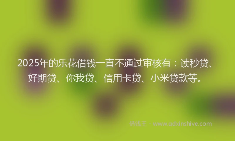 2025年的乐花借钱一直不通过审核有：读秒贷、好期贷、你我贷、信用卡贷、小米贷款等。