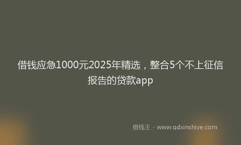 借钱应急1000元2025年精选，整合5个不上征信报告的贷款app