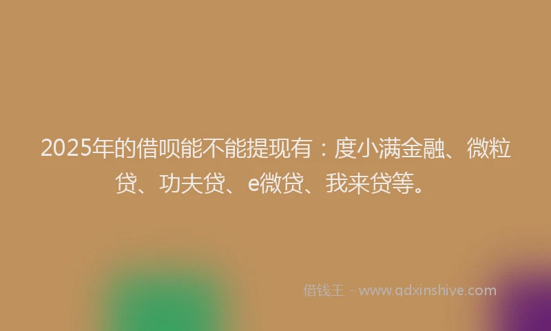 2025年的借呗能不能提现有：度小满金融、微粒贷、功夫贷、e微贷、我来贷等。