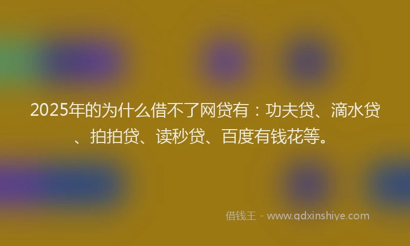 2025年的为什么借不了网贷有：功夫贷、滴水贷、拍拍贷、读秒贷、百度有钱花等。