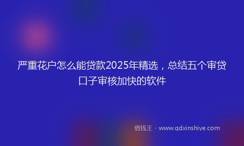 严重花户怎么能贷款2025年精选，总结五个审贷口子审核加快的软件