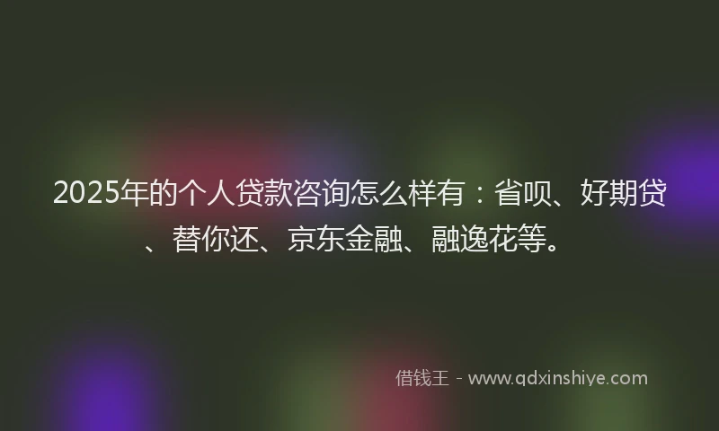 2025年的个人贷款咨询怎么样有：省呗、好期贷、替你还、京东金融、融逸花等。