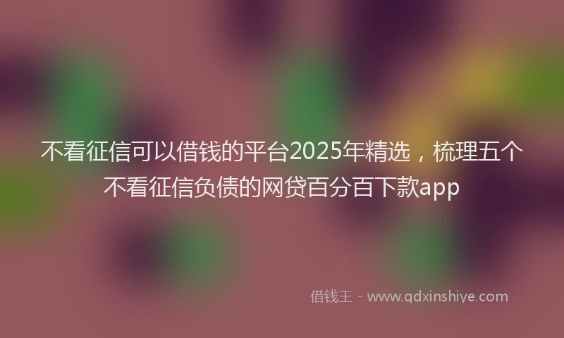 不看征信可以借钱的平台2025年精选，梳理五个不看征信负债的网贷百分百下款app