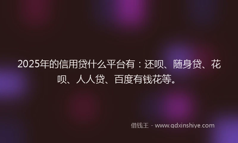 2025年的信用贷什么平台有：还呗、随身贷、花呗、人人贷、百度有钱花等。