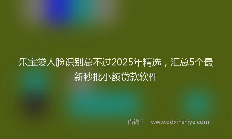 乐宝袋人脸识别总不过2025年精选，汇总5个最新秒批小额贷款软件