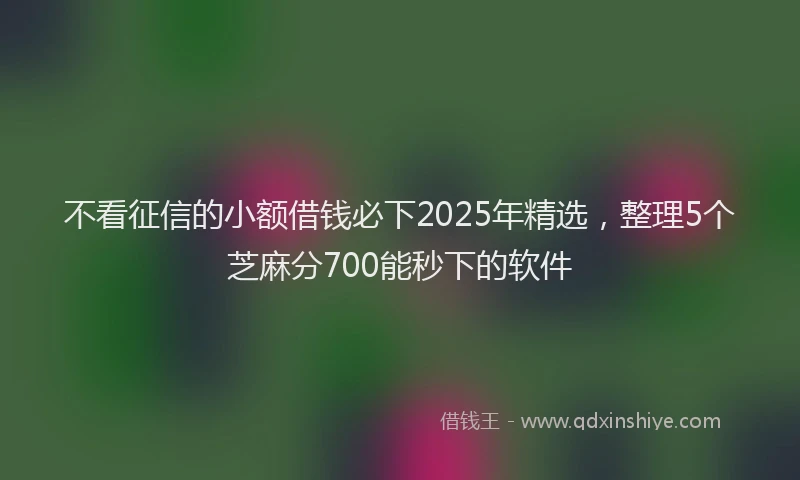 不看征信的小额借钱必下2025年精选，整理5个芝麻分700能秒下的软件