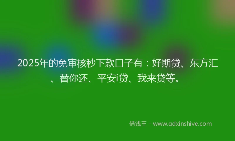 2025年的免审核秒下款口子有：好期贷、东方汇、替你还、平安i贷、我来贷等。
