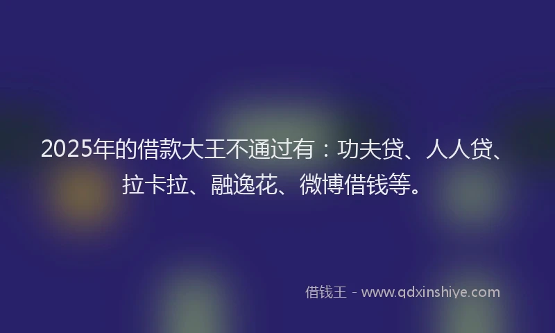 2025年的借款大王不通过有：功夫贷、人人贷、拉卡拉、融逸花、微博借钱等。