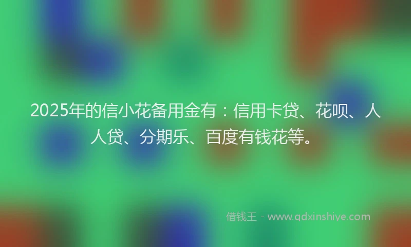 2025年的信小花备用金有：信用卡贷、花呗、人人贷、分期乐、百度有钱花等。