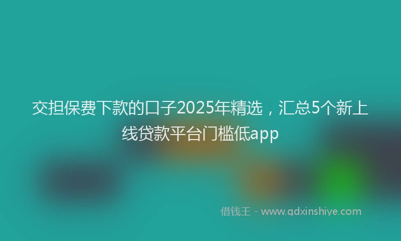 交担保费下款的口子2025年精选，汇总5个新上线贷款平台门槛低app