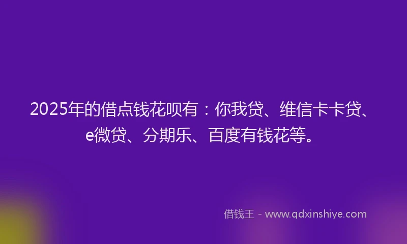 2025年的借点钱花呗有：你我贷、维信卡卡贷、e微贷、分期乐、百度有钱花等。