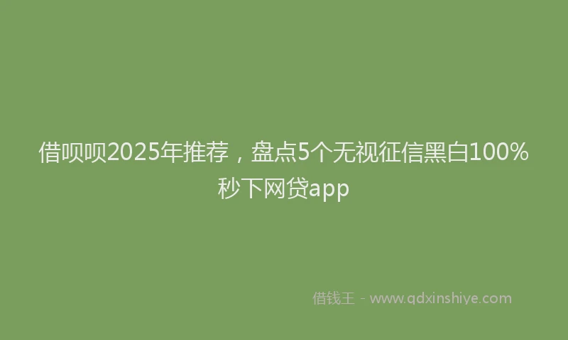 借呗呗2025年推荐，盘点5个无视征信黑白100%秒下网贷app