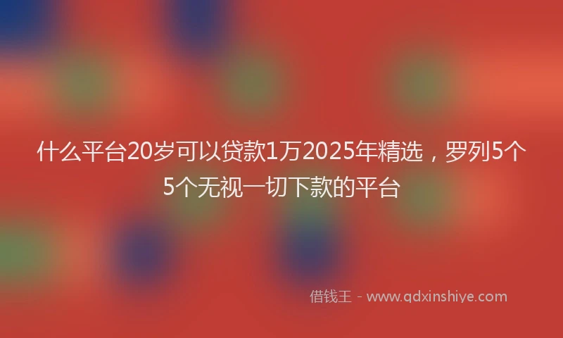 什么平台20岁可以贷款1万2025年精选，罗列5个5个无视一切下款的平台