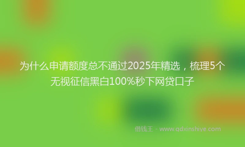 为什么申请额度总不通过2025年精选，梳理5个无视征信黑白100%秒下网贷口子