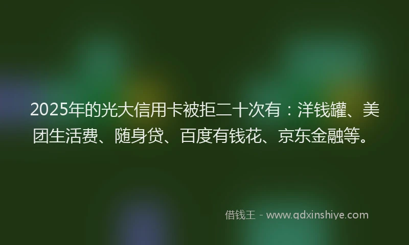 2025年的光大信用卡被拒二十次有：洋钱罐、美团生活费、随身贷、百度有钱花、京东金融等。