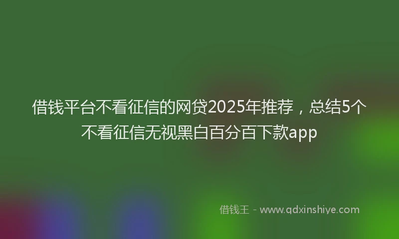 借钱平台不看征信的网贷2025年推荐，总结5个不看征信无视黑白百分百下款app